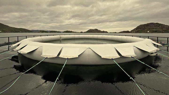 Suljettu häkkijärjestelmä (Closed cage system)